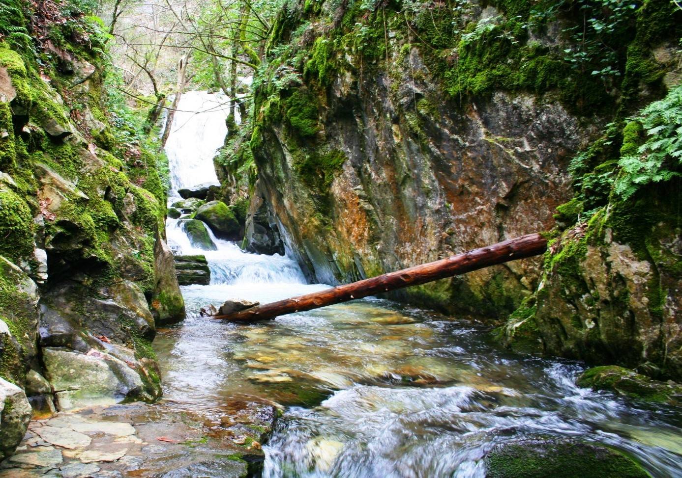 Ayazmapınar Tabiat Parkı