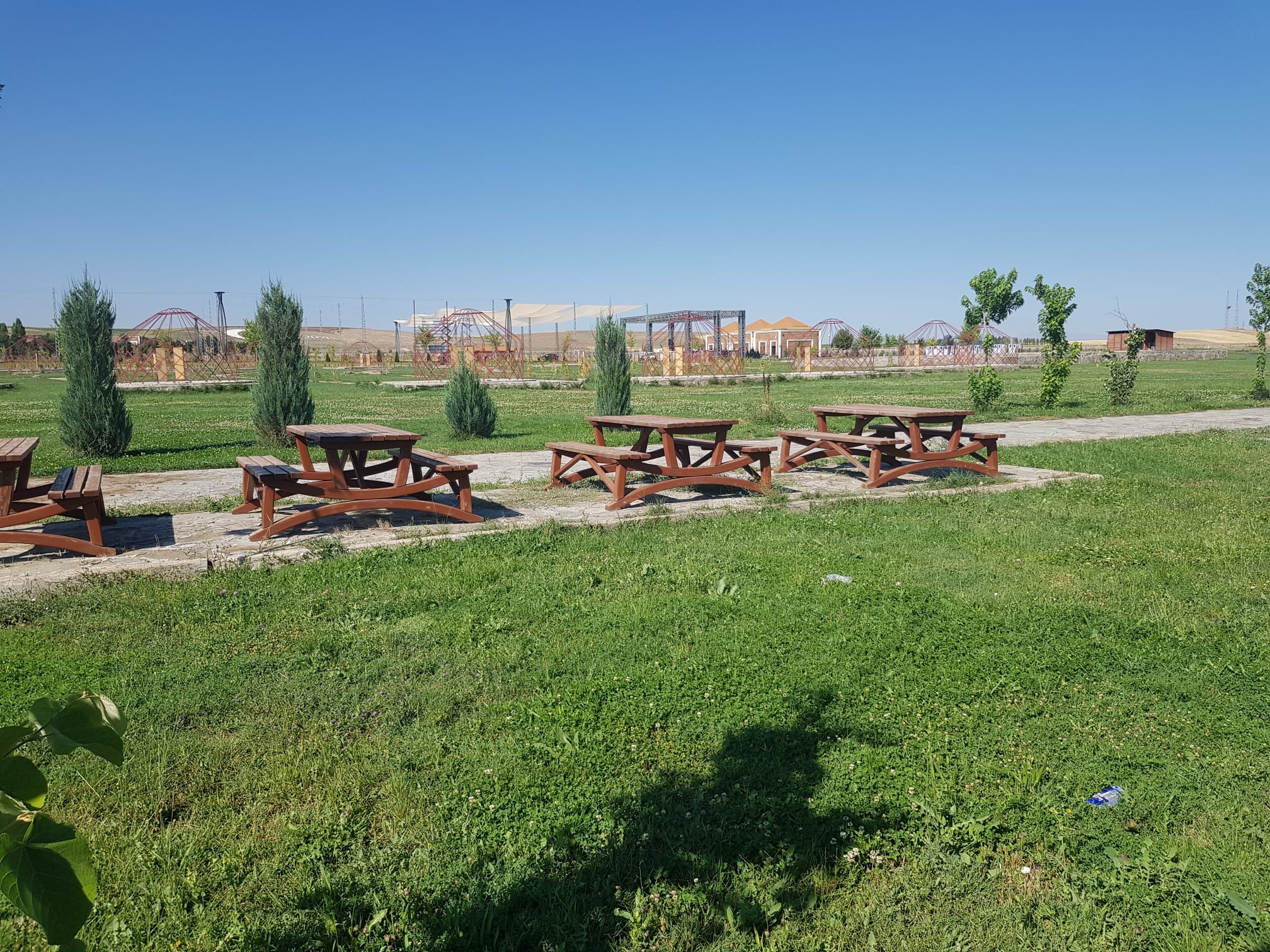 WhatsApp Image 2024-08-15 at 10.20.56.jpeg