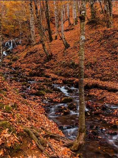 Yedi Göller Milli Parkı